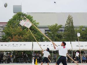 ドリームキャッチ