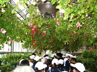 緑化活動校外学習