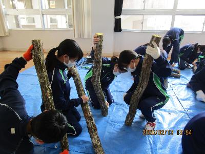 原木直線けがき