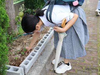 通学路植付け2