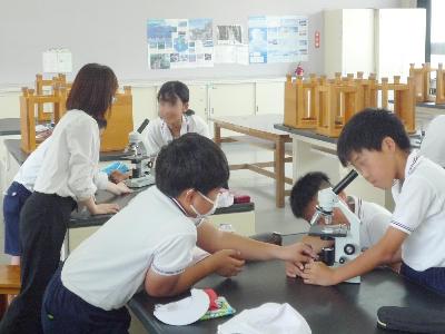 オープンスクール