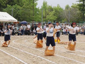 野を越え、山越え1