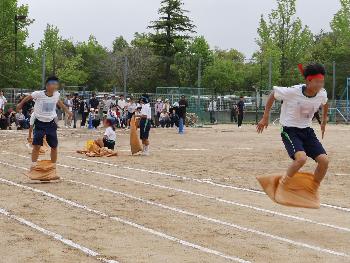 野を越え、山越え2