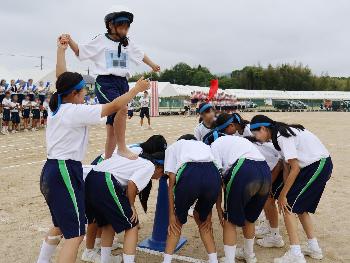 高美の白兎1