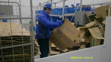 職場体験