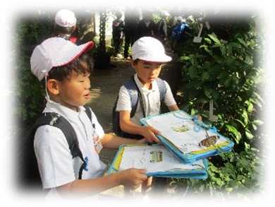 社会見学　蝶を観察しています。