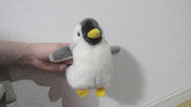 たからもののぬいぐるみです。