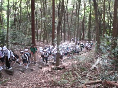 山道を進んでいきます。