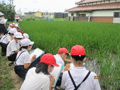 見学