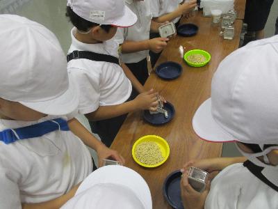 玄米にしている様子です