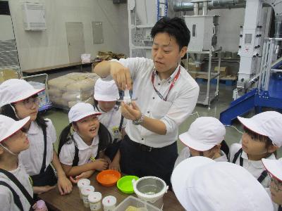 精米の様子です
