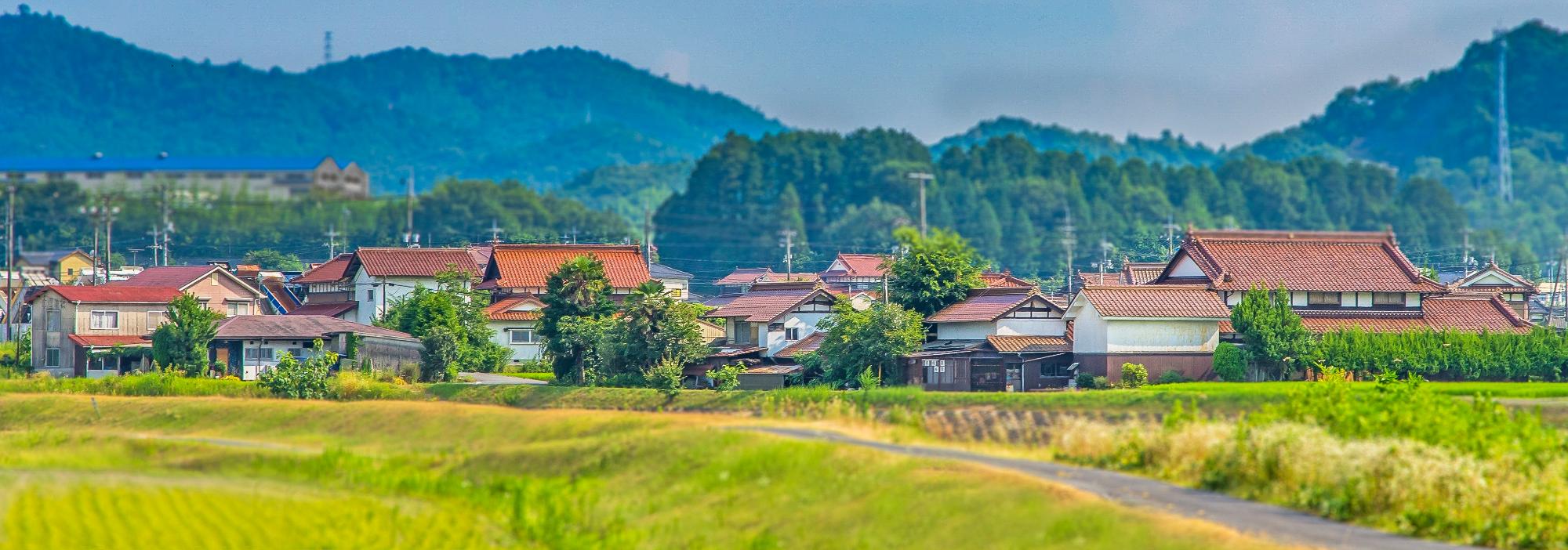 赤瓦と田園風景