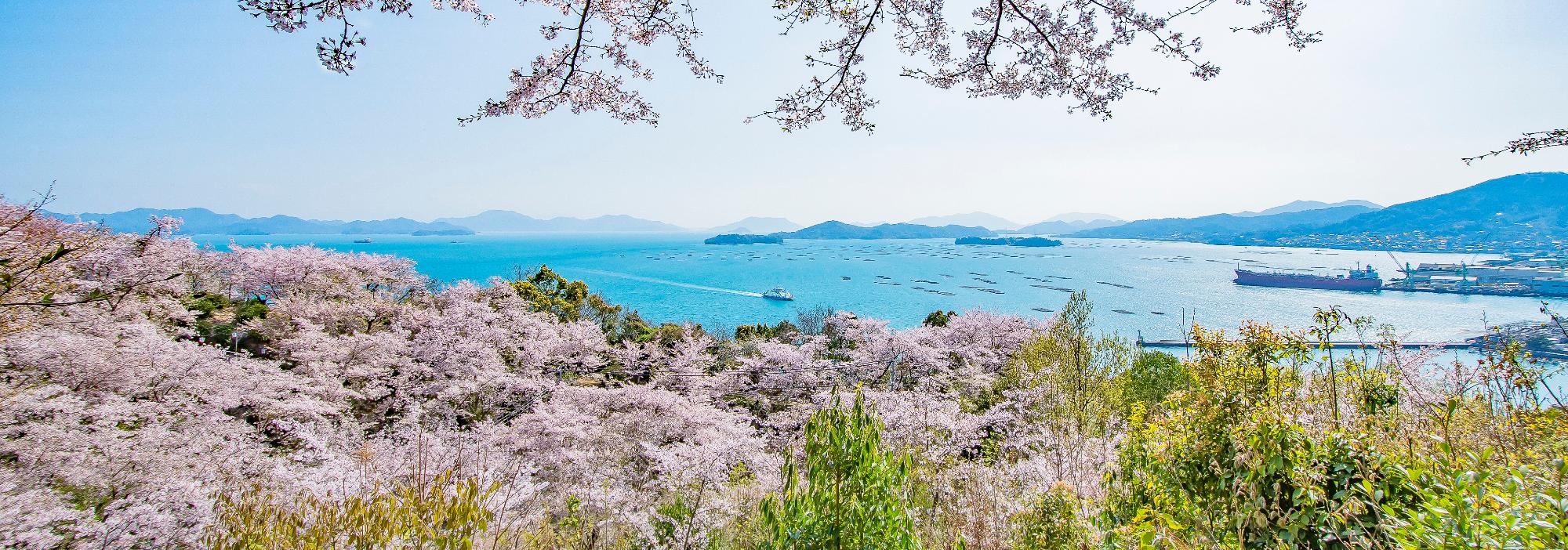 正福寺山公園からみた瀬戸内海