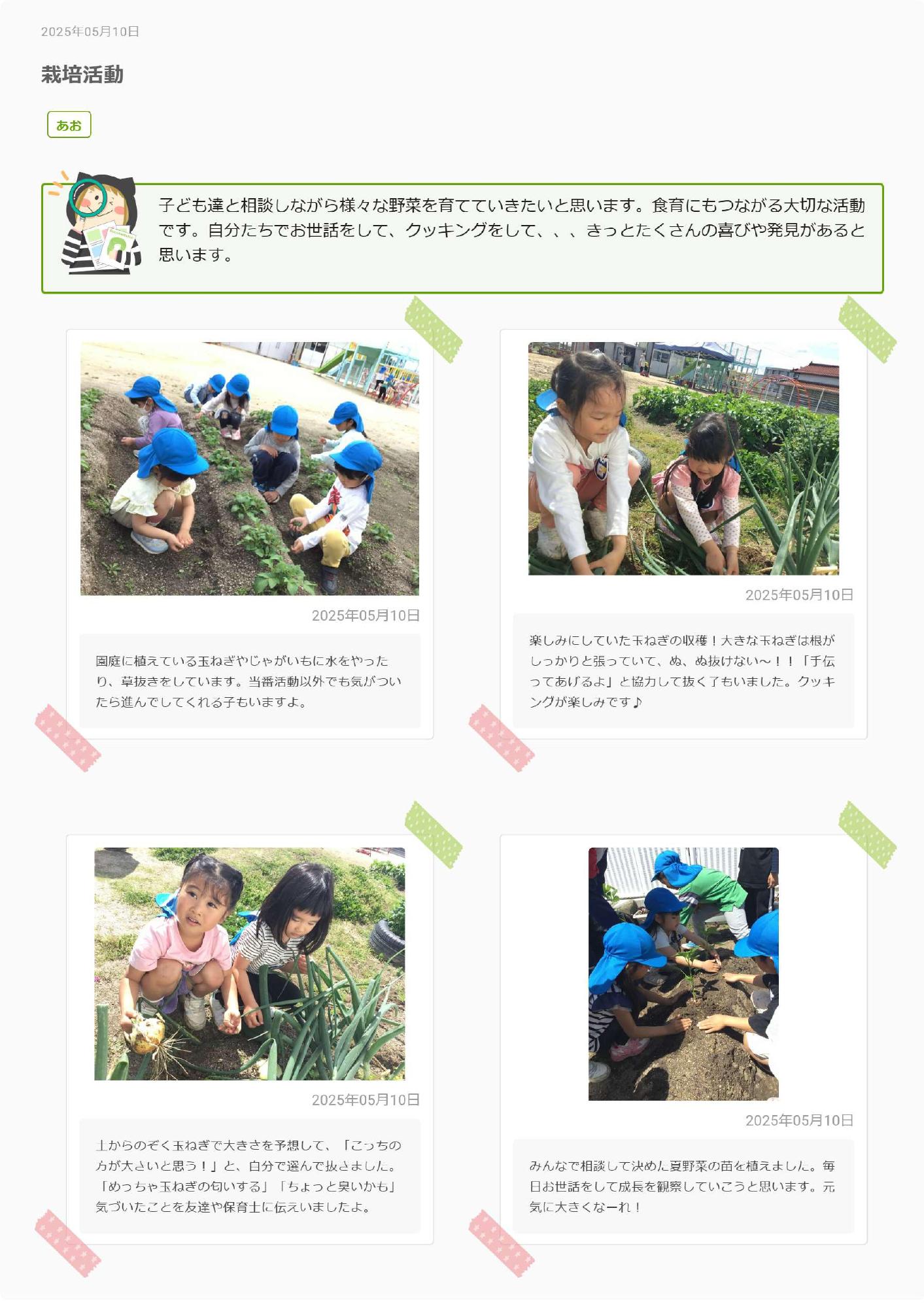 5歳児5月　栽培活動