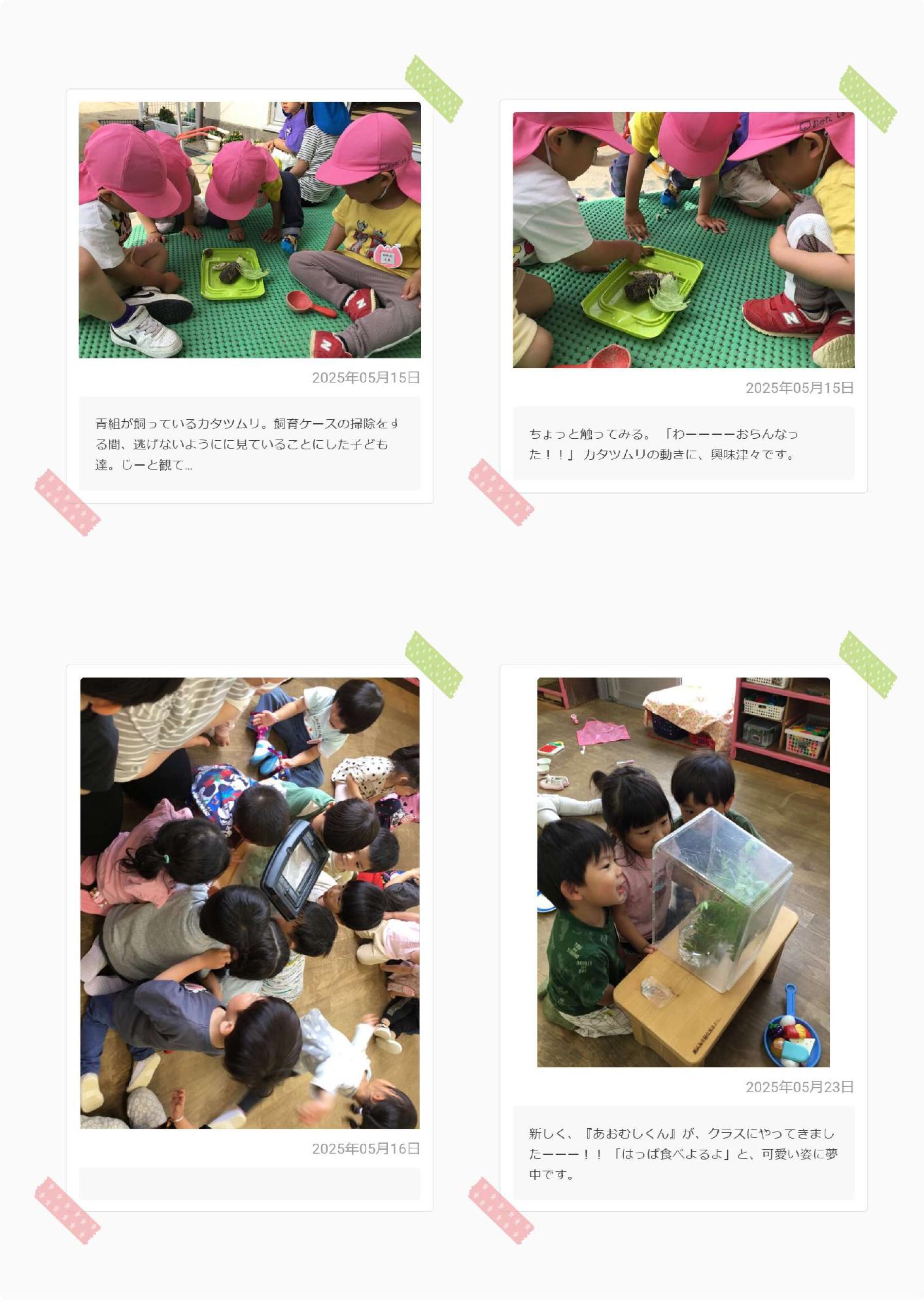 3歳児5月　ワクワク生き物との出会い2