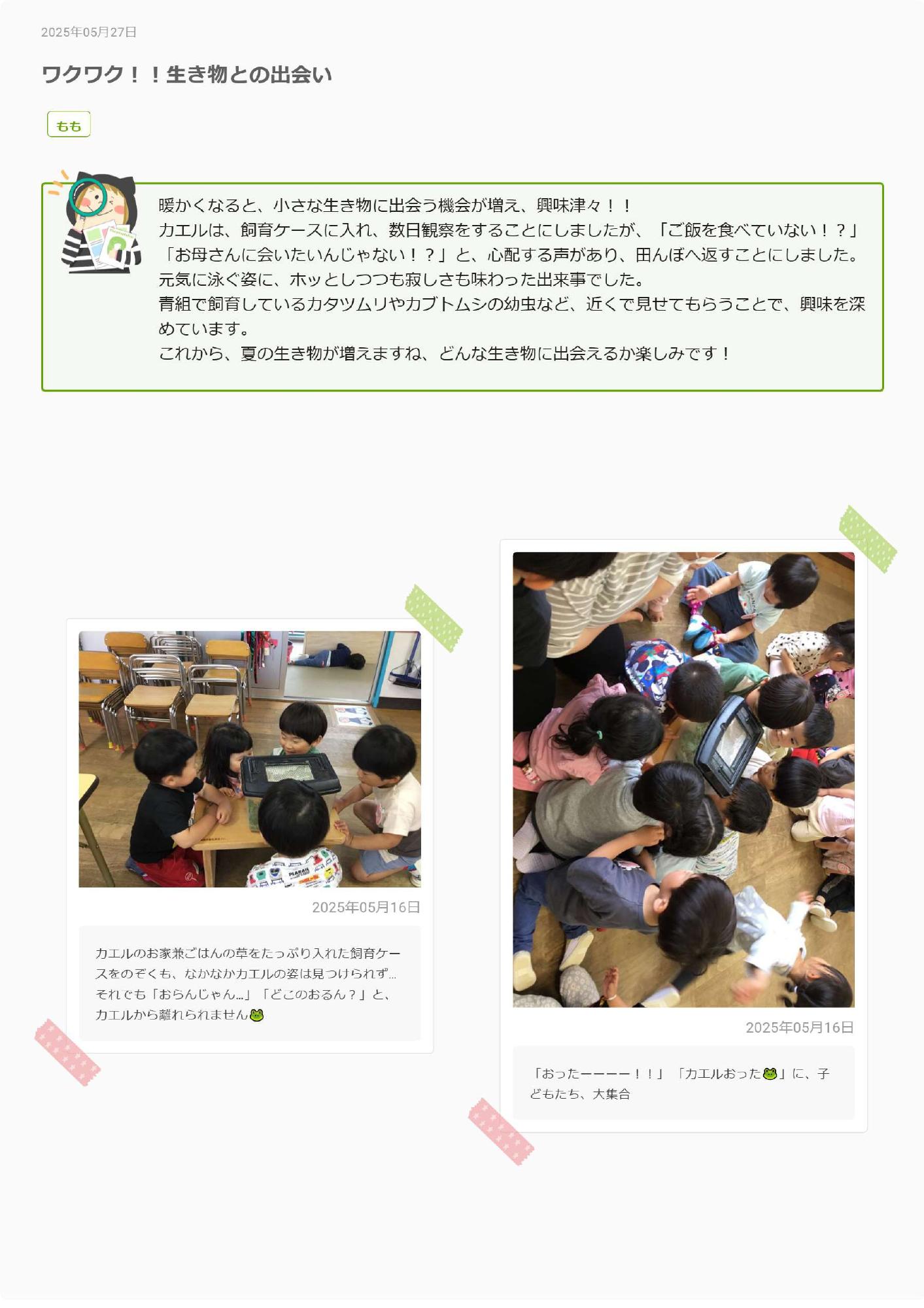 3歳児5月　ワクワク生き物との出会い