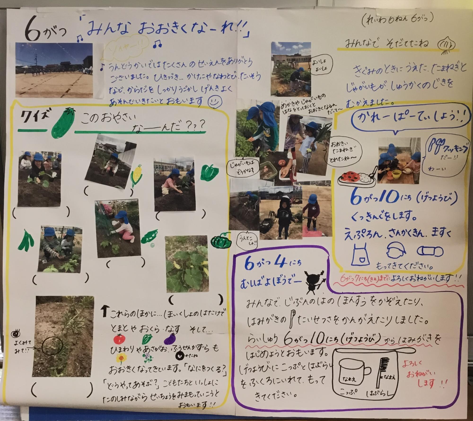 5歳児6月の様子　夏野菜の植え付け