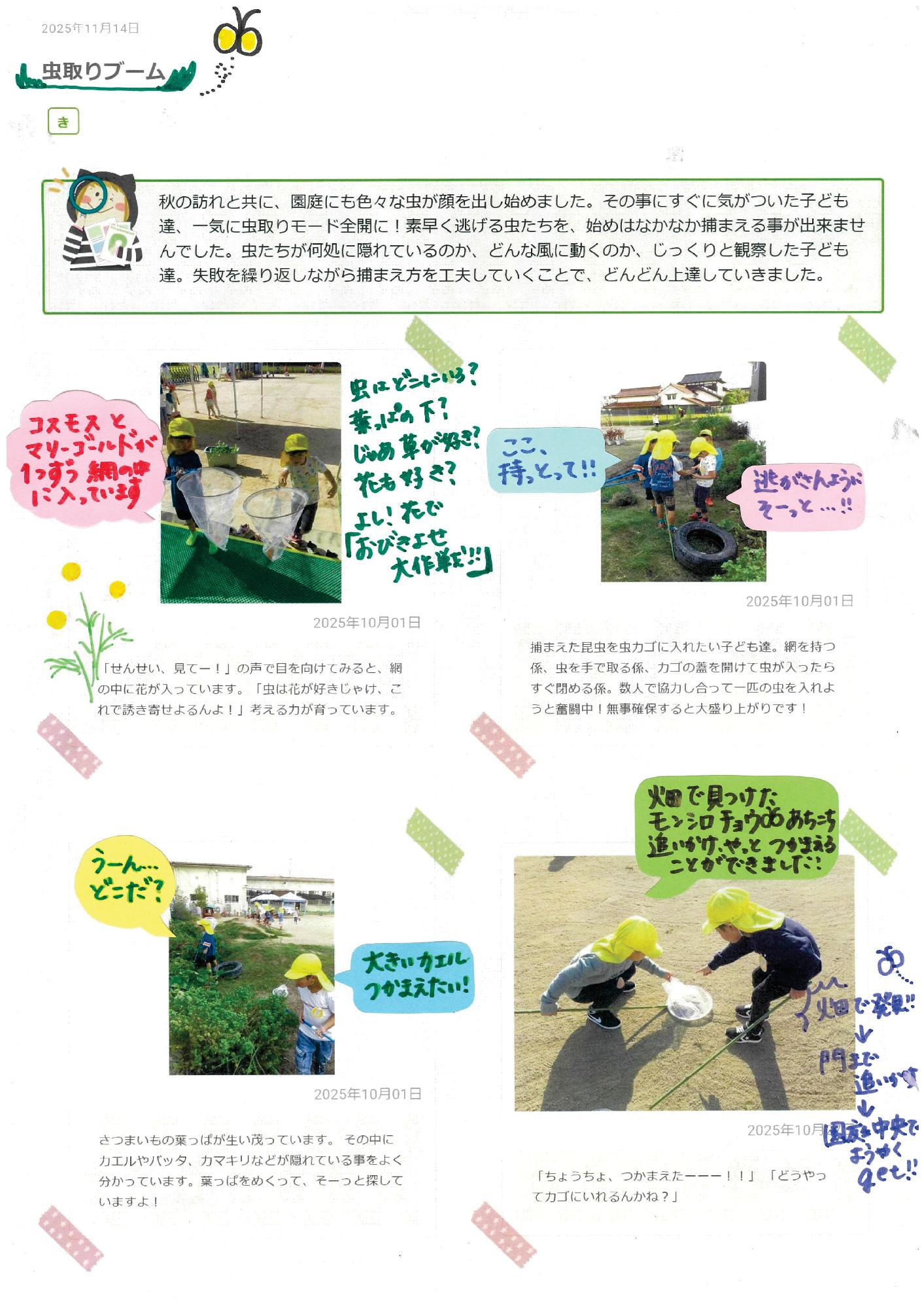 4歳児12月　虫とりブーム