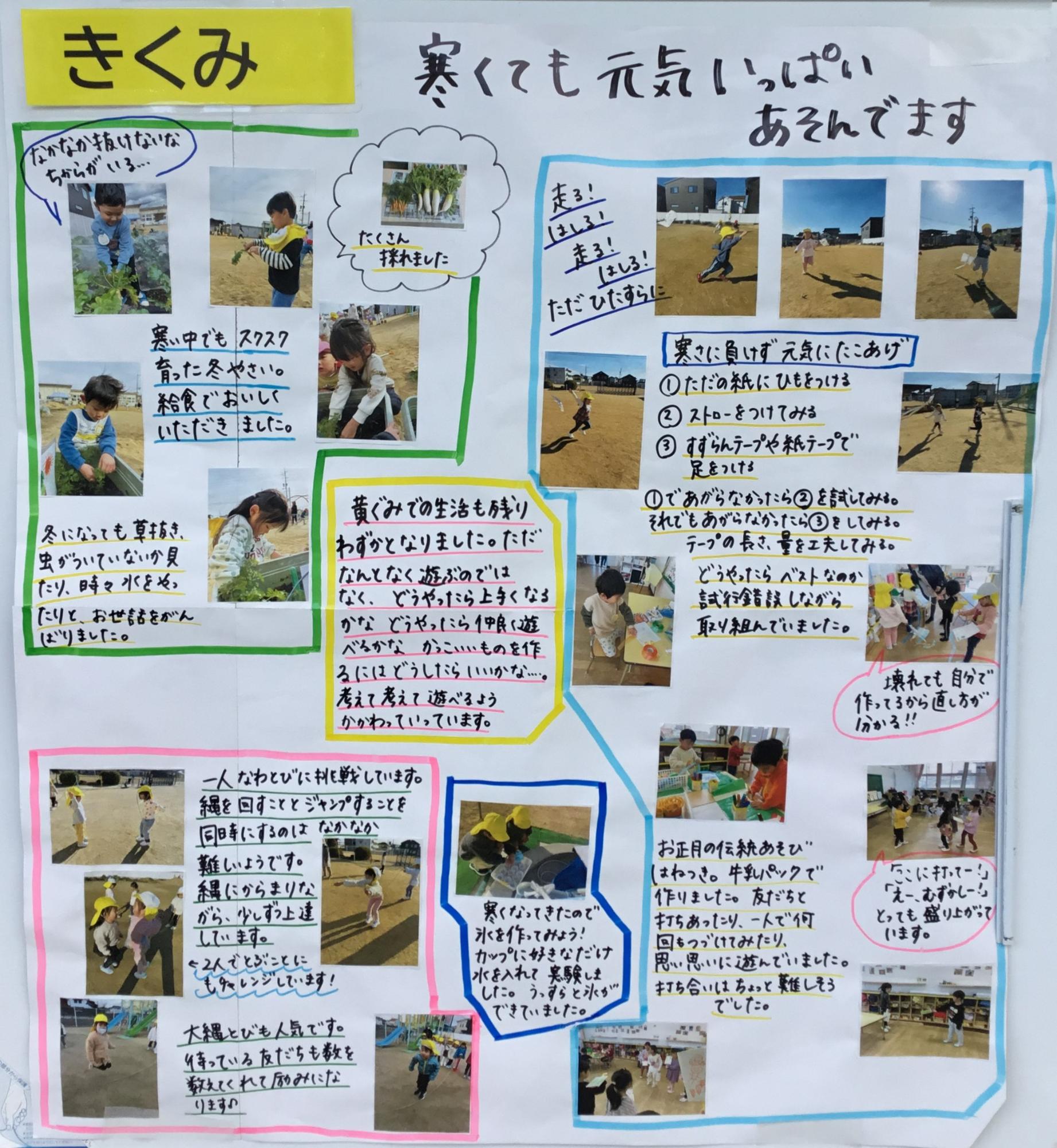 4歳児1月　お正月遊び・大根収穫