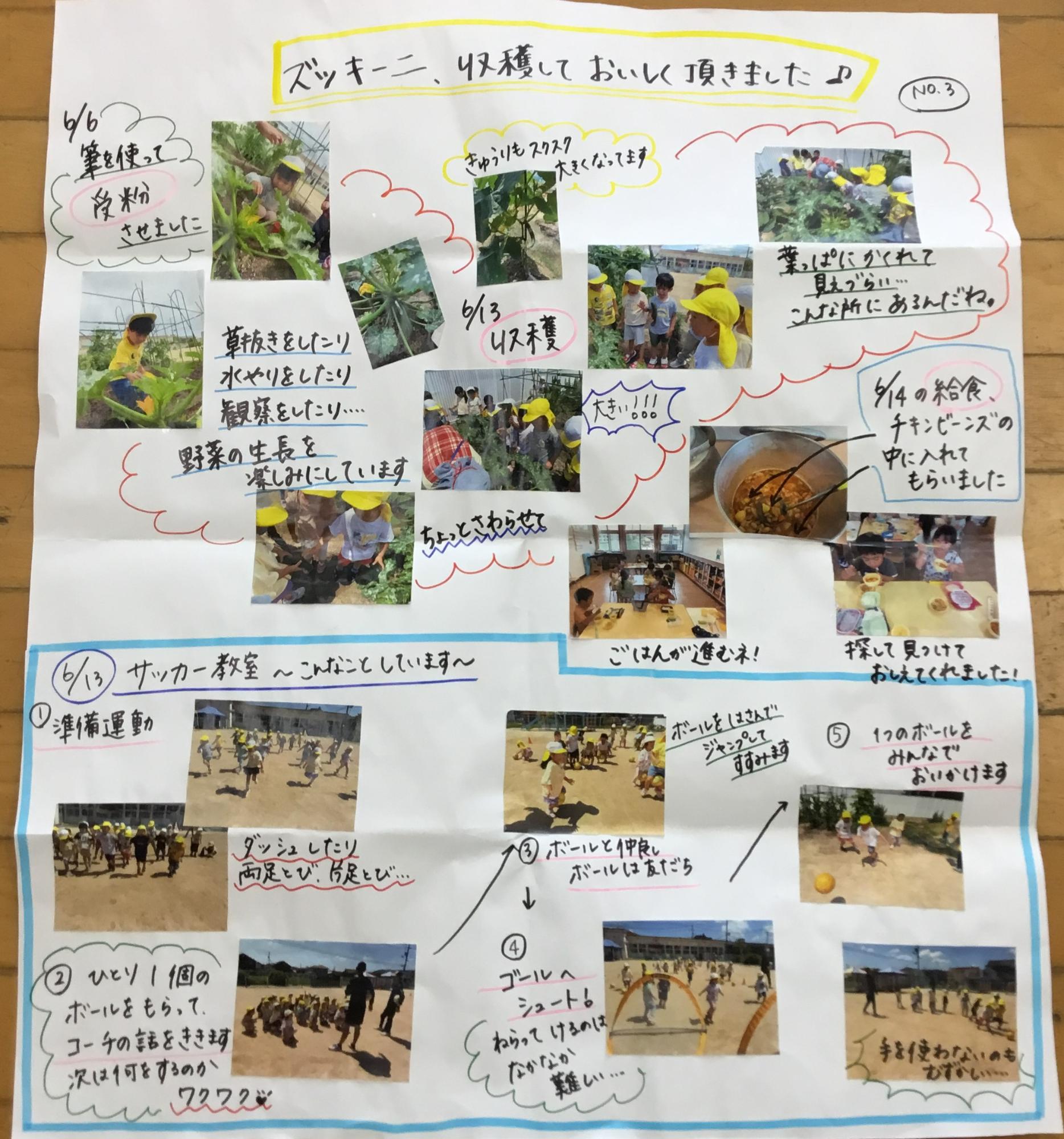 4歳児6月　ズッキーニ収穫・サッカー教室