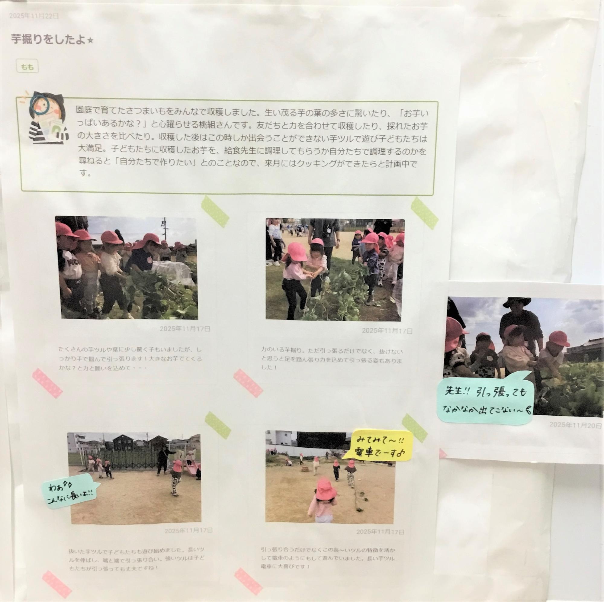 3歳児12月　芋ほりをしたよ