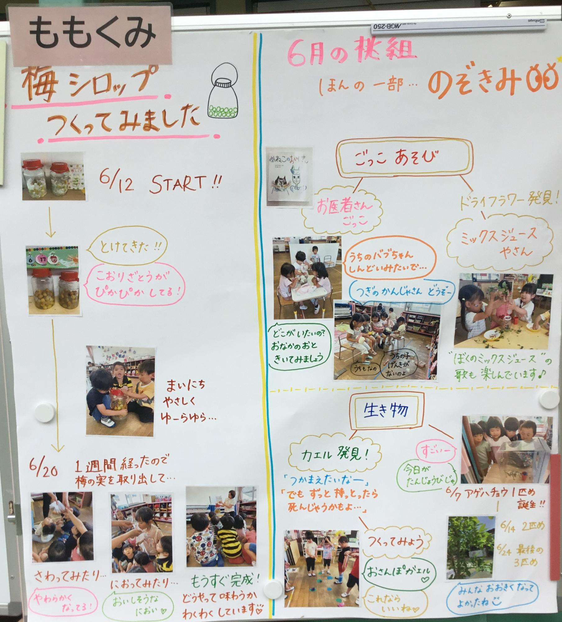 3歳児6月　梅シロップ作り