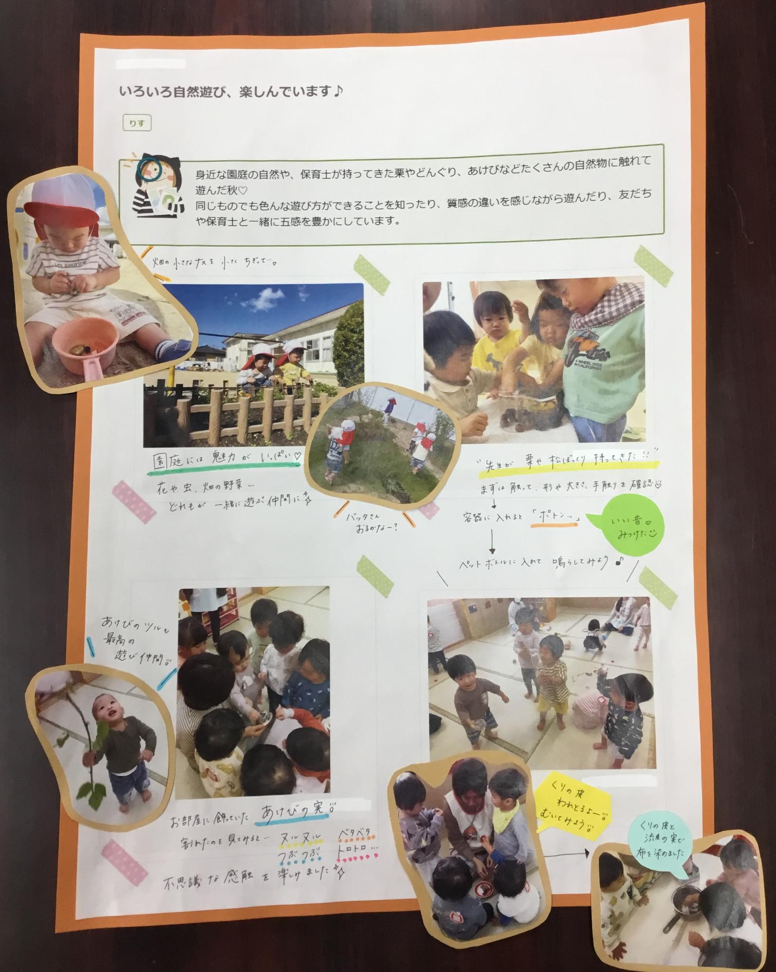 1歳児12月　秋の自然遊び