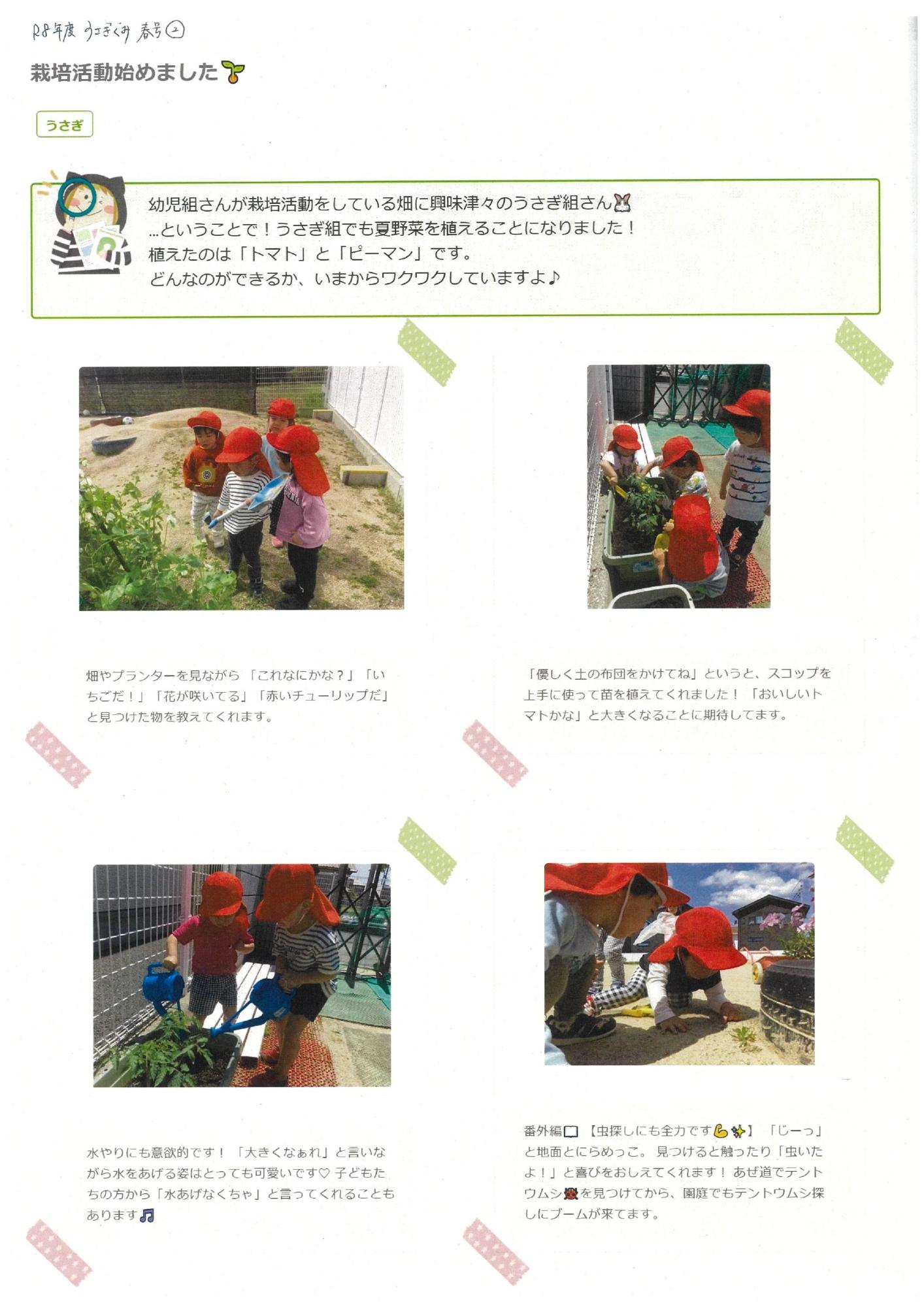 うさぎ組ドキュメンテーション春2