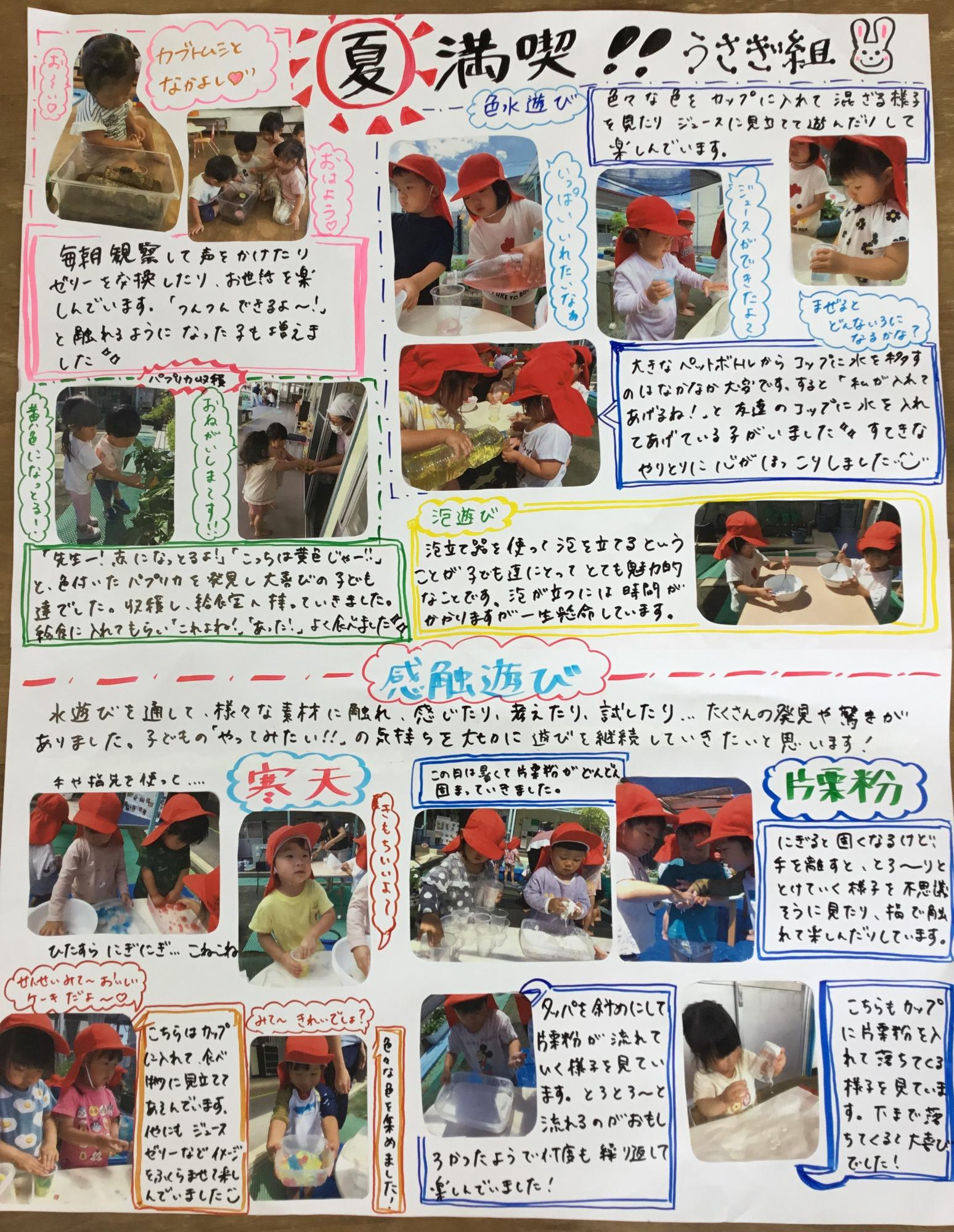 2歳児8月　カブト虫観察・色水遊び
