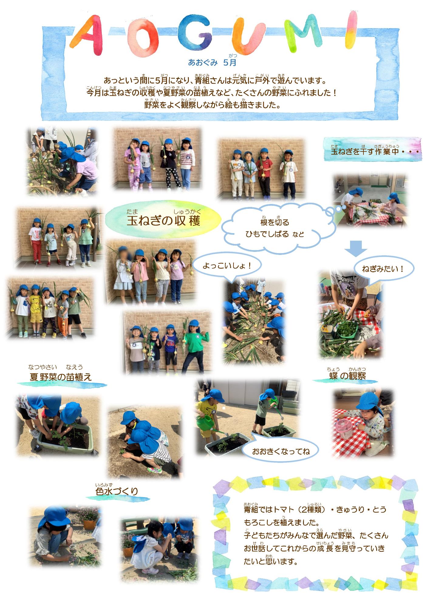 青5月