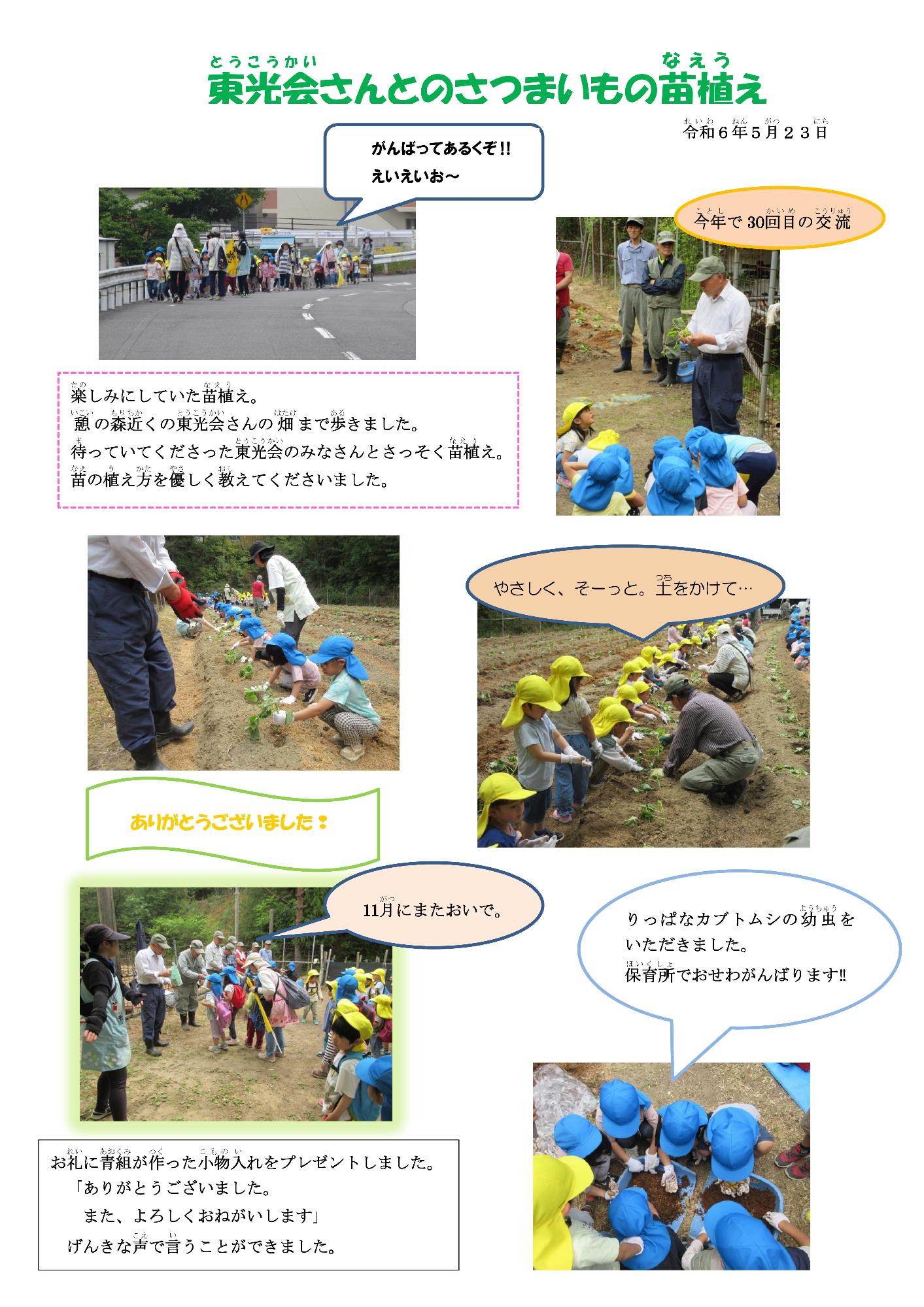 東光会さんとのさつまいもの苗植え