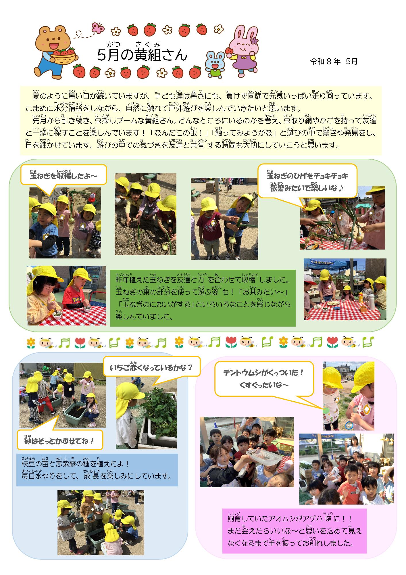 黄5月