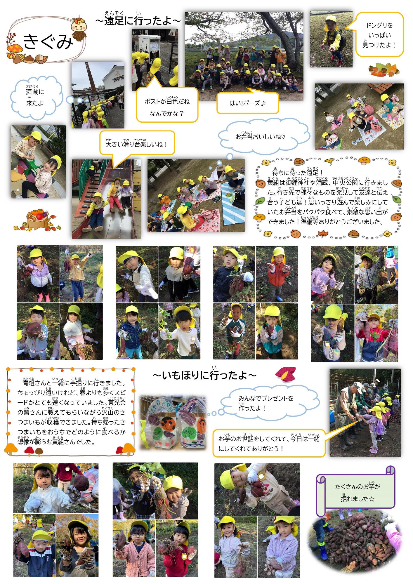 11月の黄組の様子です。龍王山にある東光会さんの畑で芋掘りをさせてもらった時の様子です。
