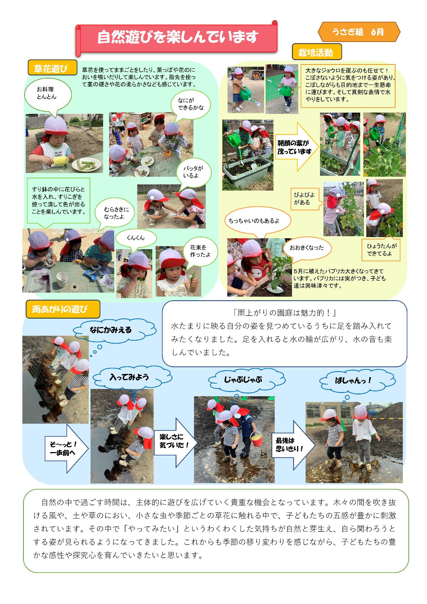 うさぎ6月