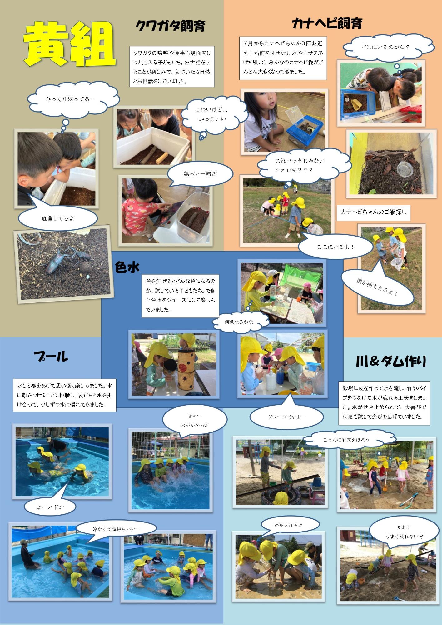 黄組の夏の様子