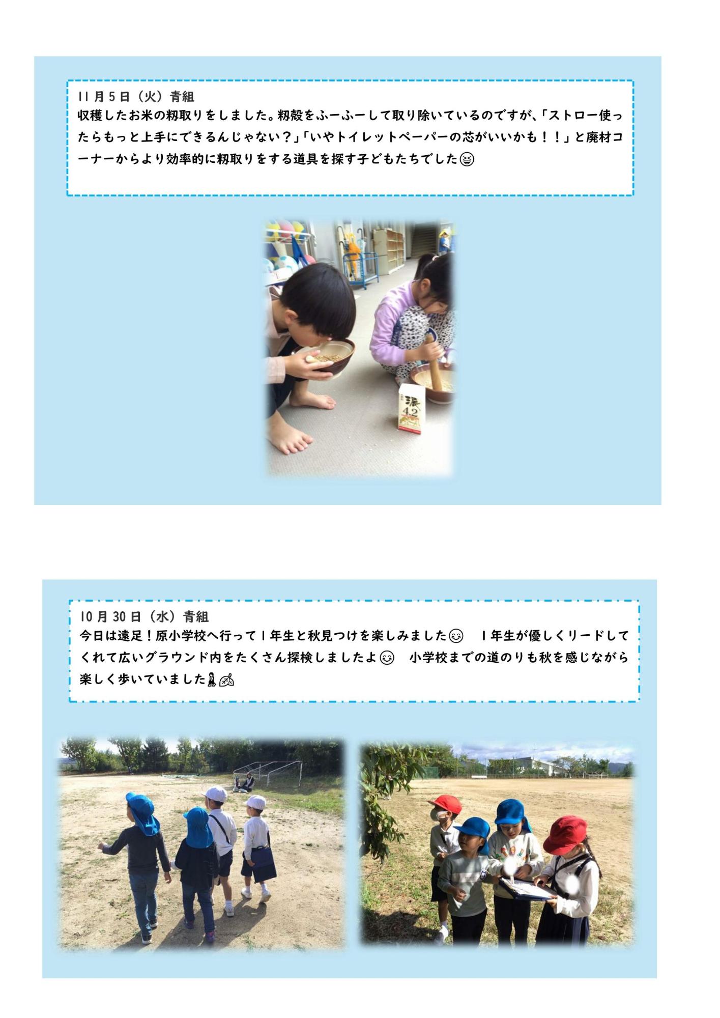 青組11月10月