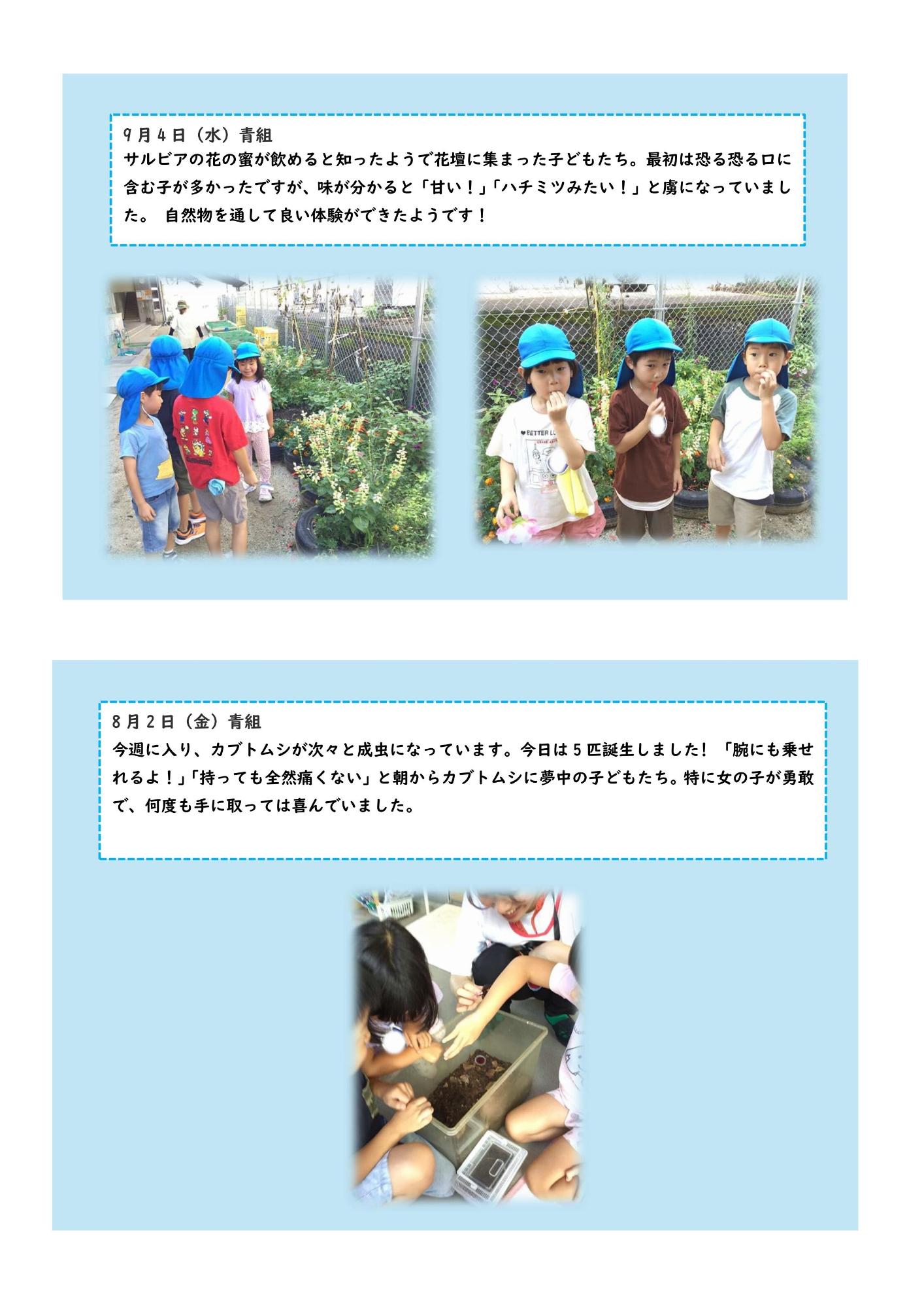 青組9月8月