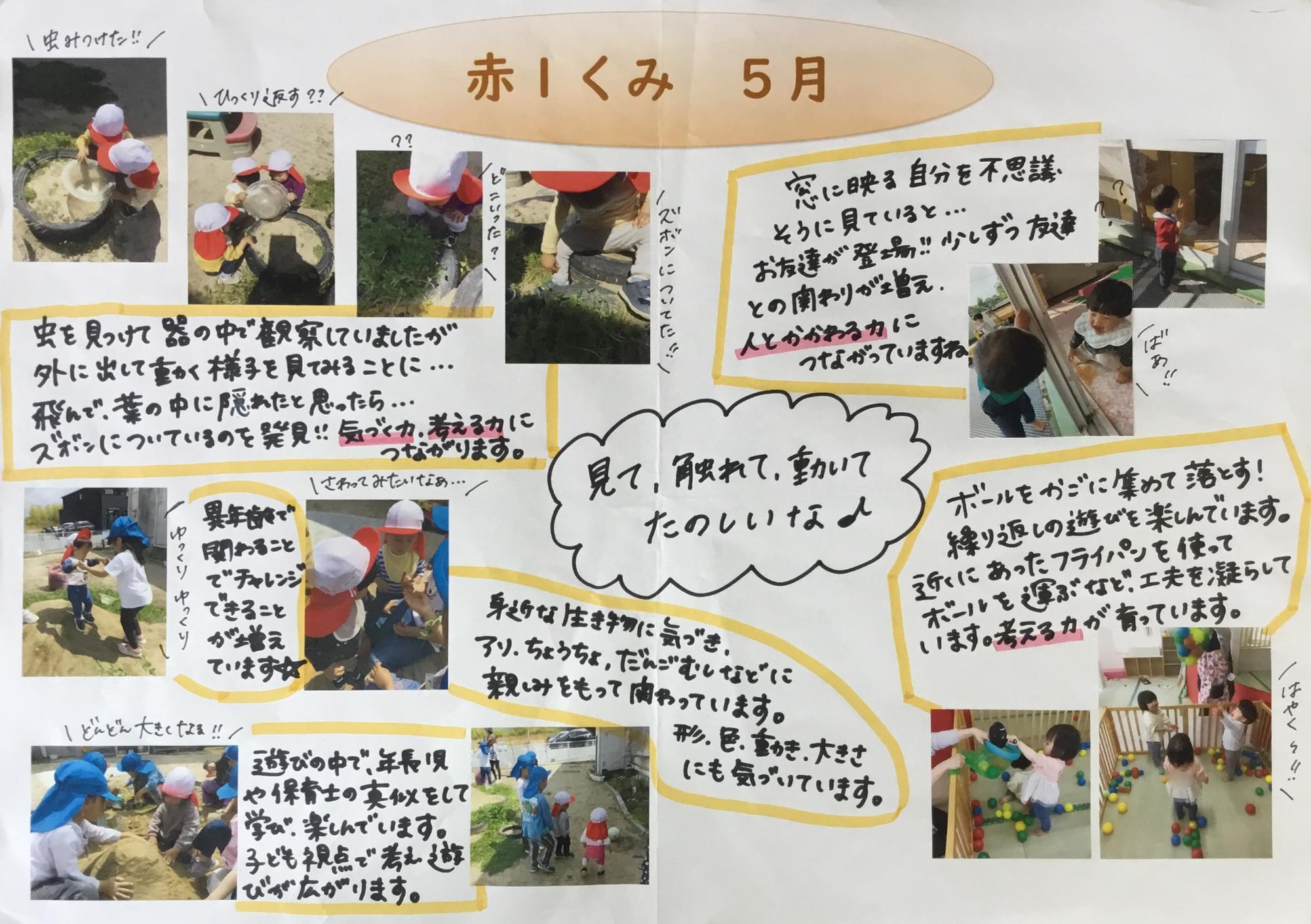 5月