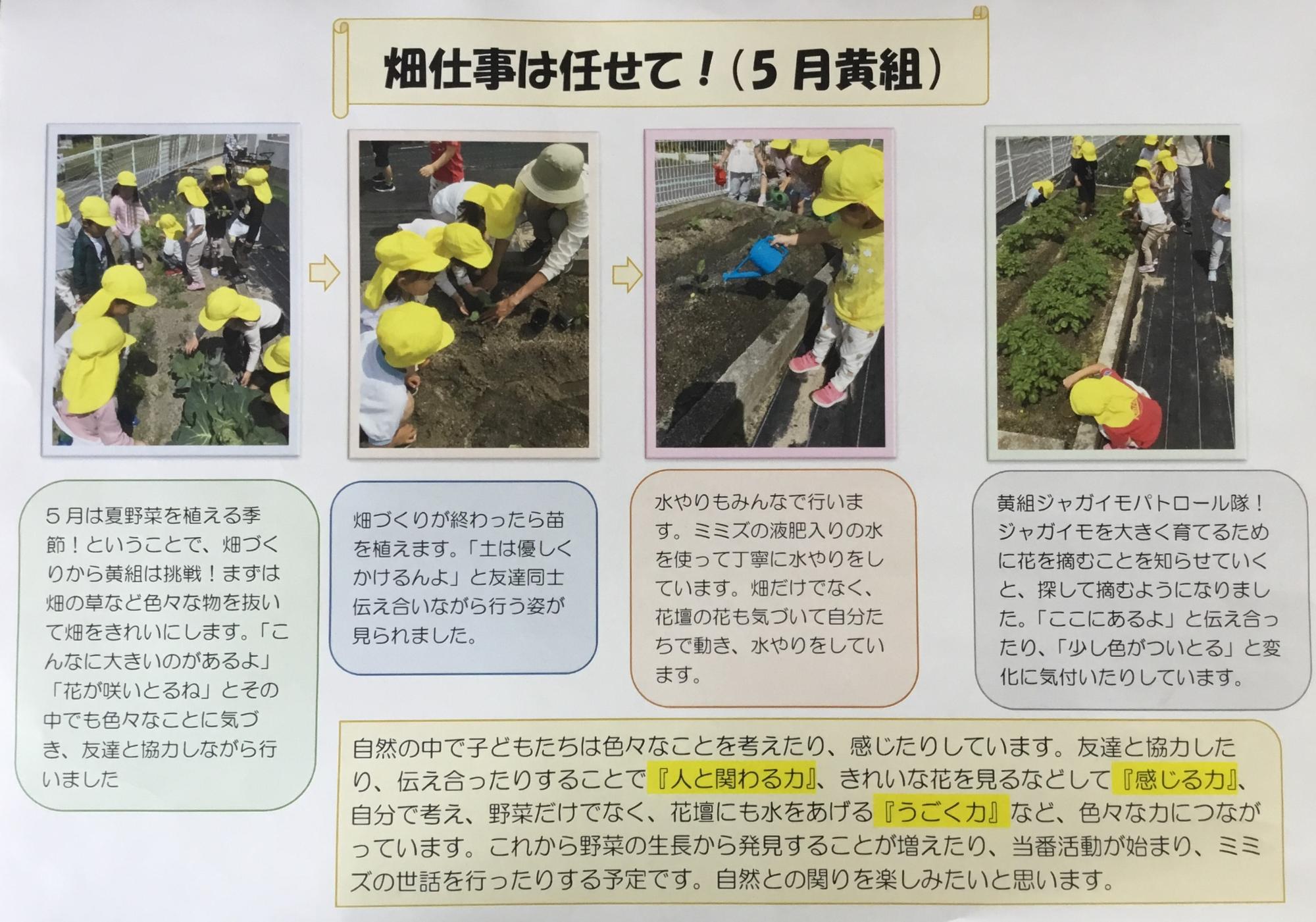 5月