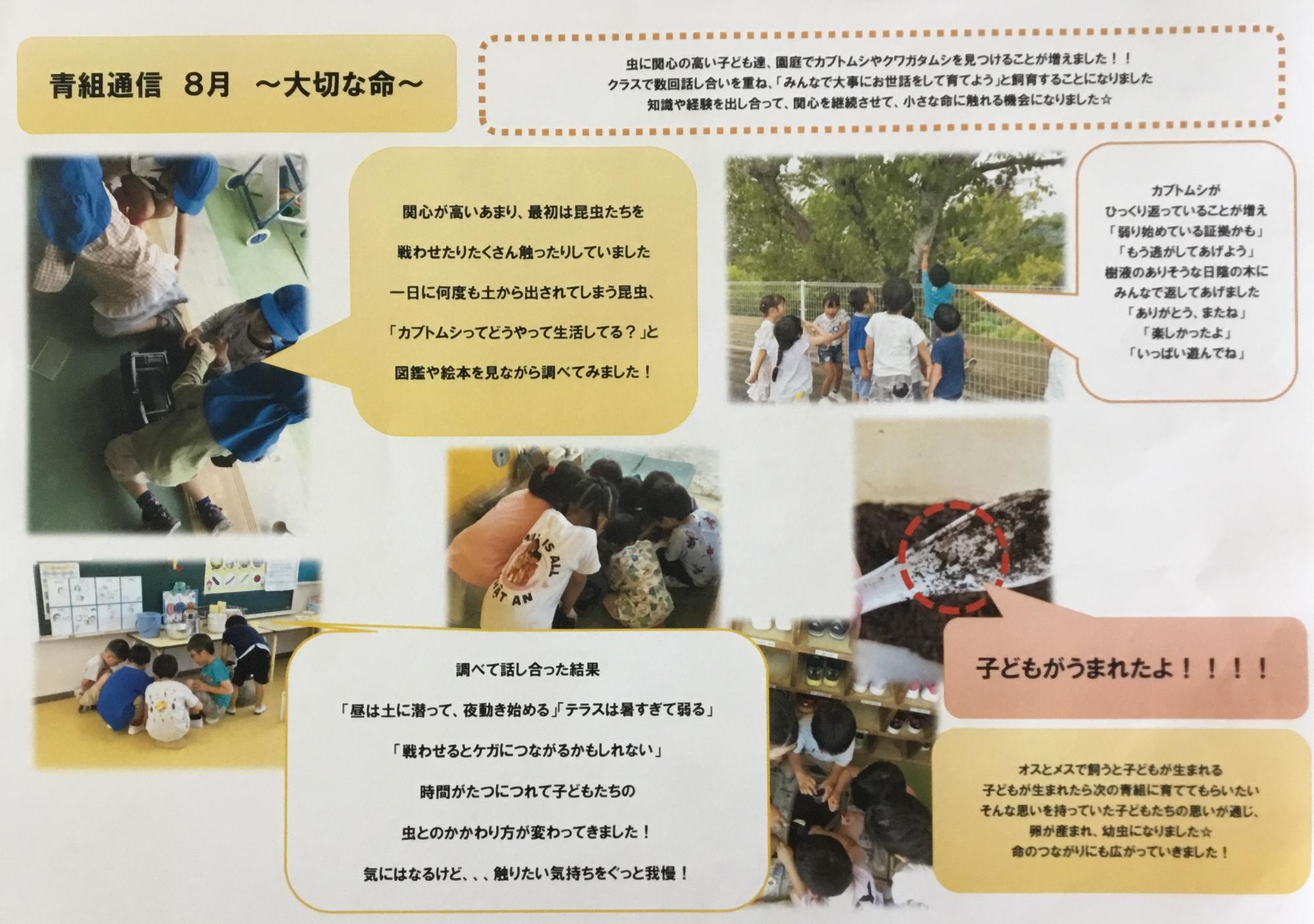ドキュメンテーション