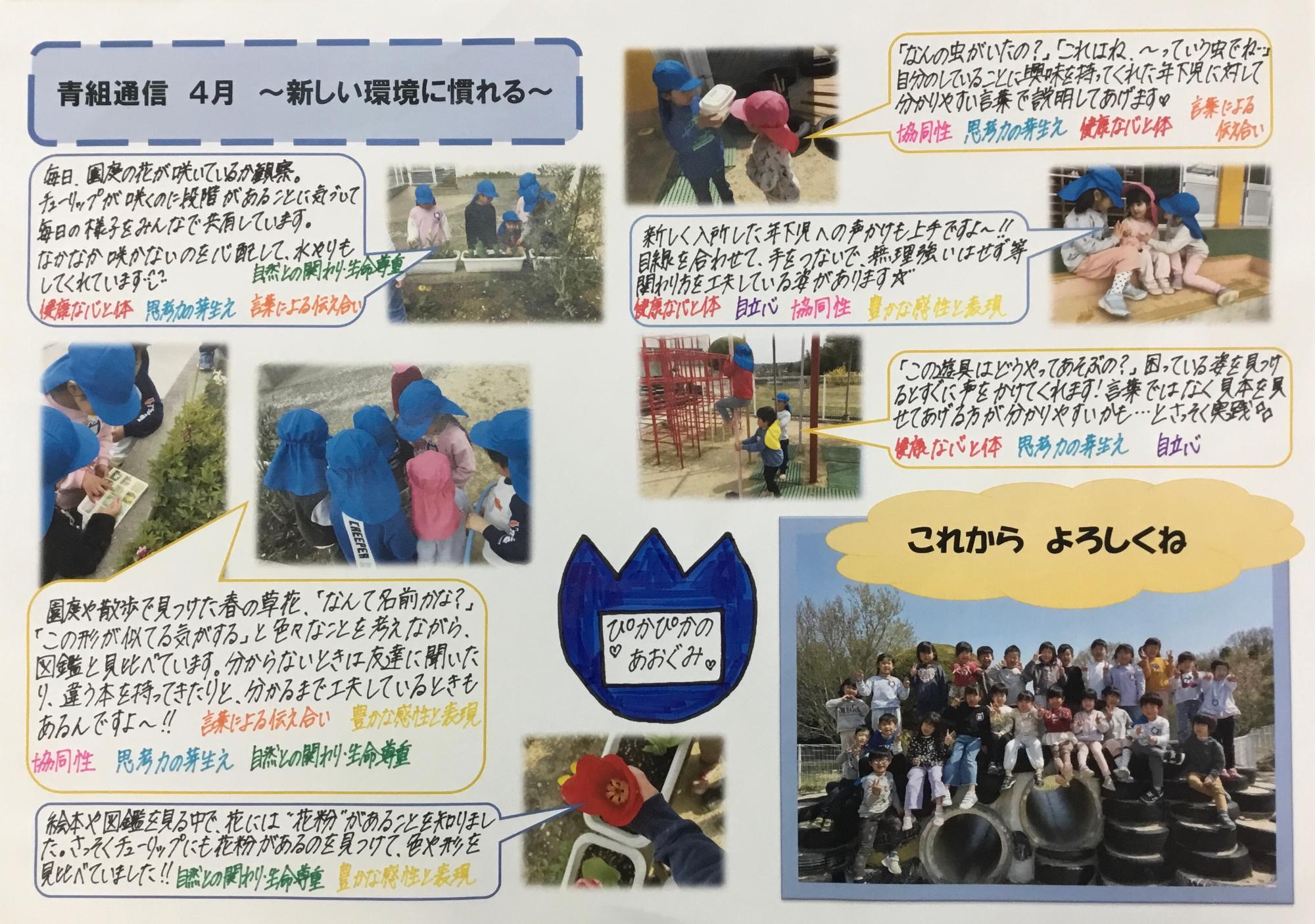 青組