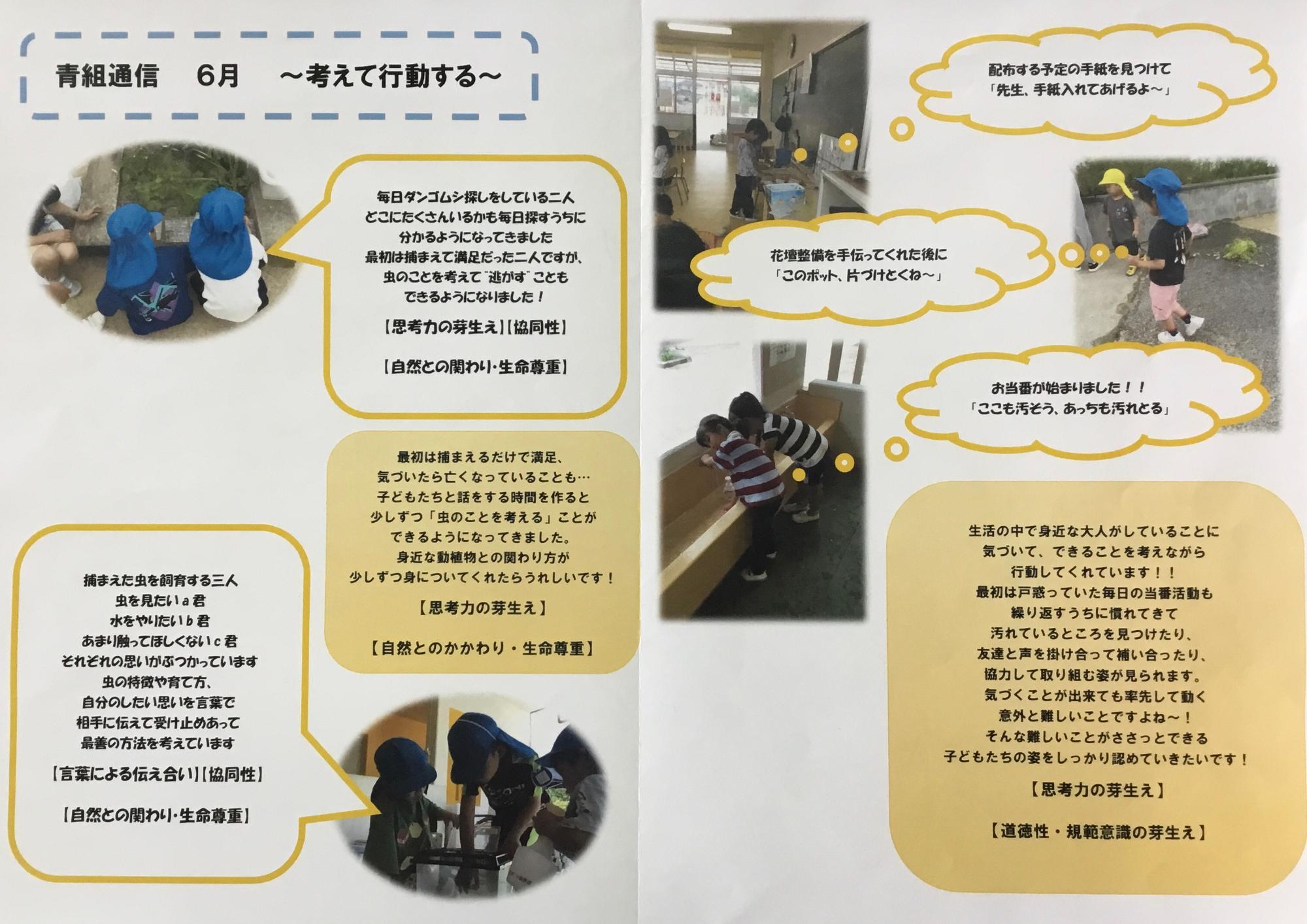 青組