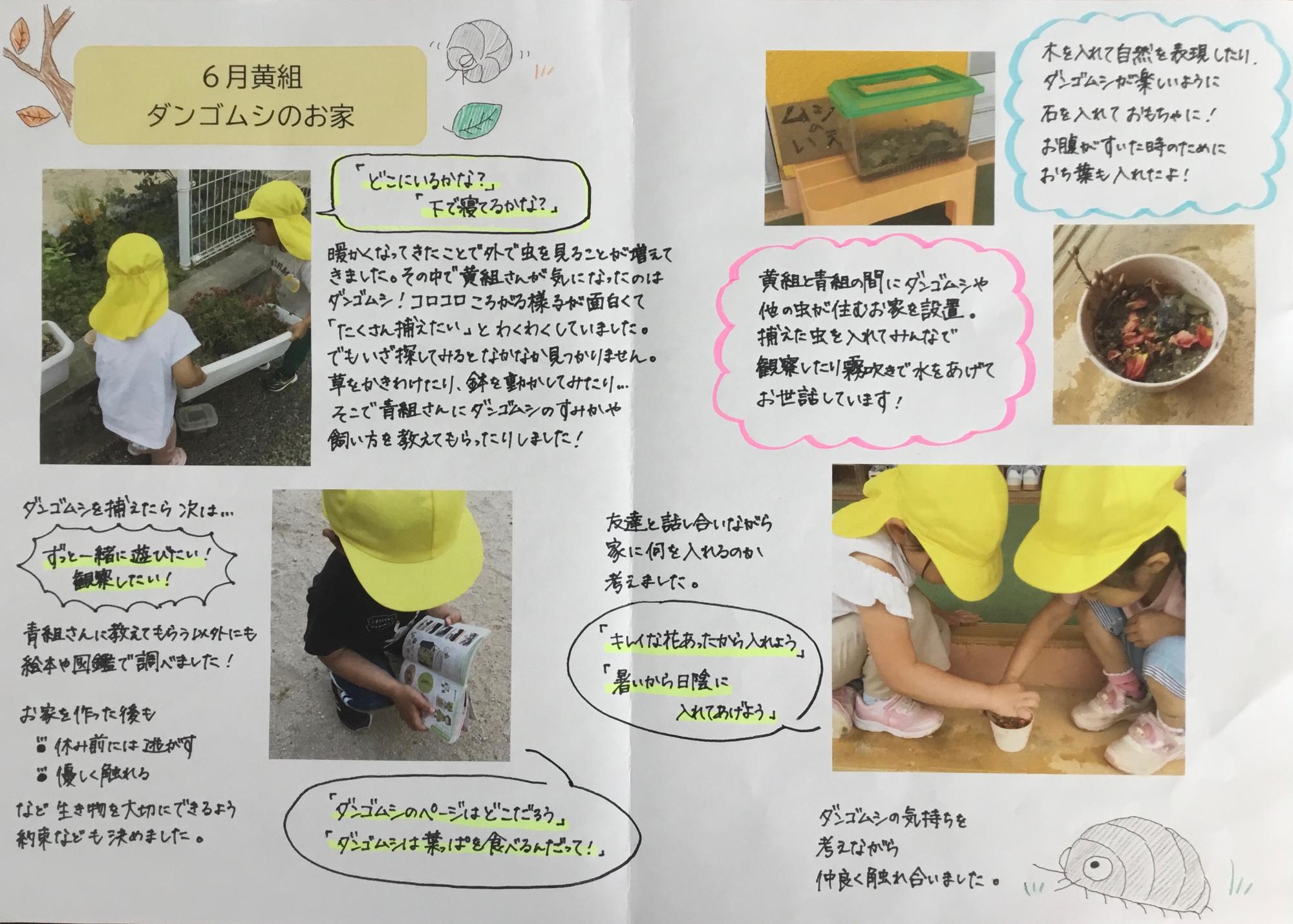 黄組