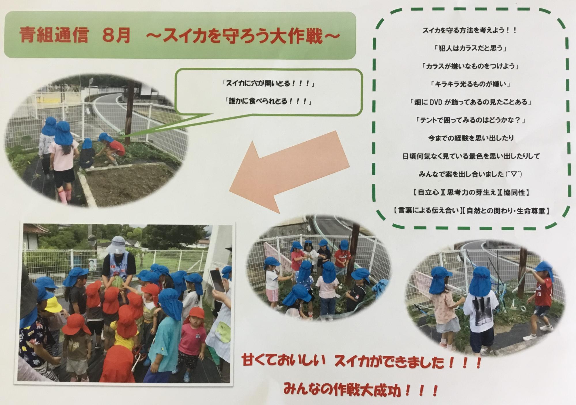 栽培活動