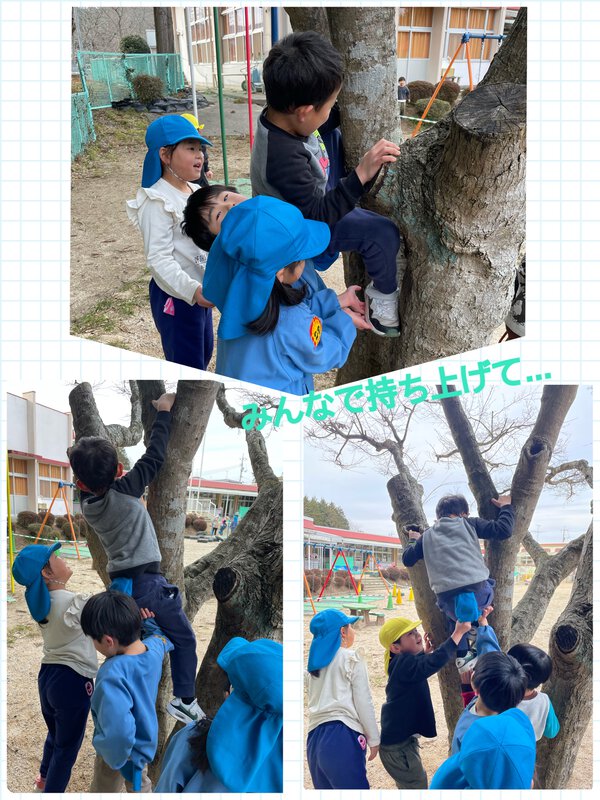 みんなで木登り