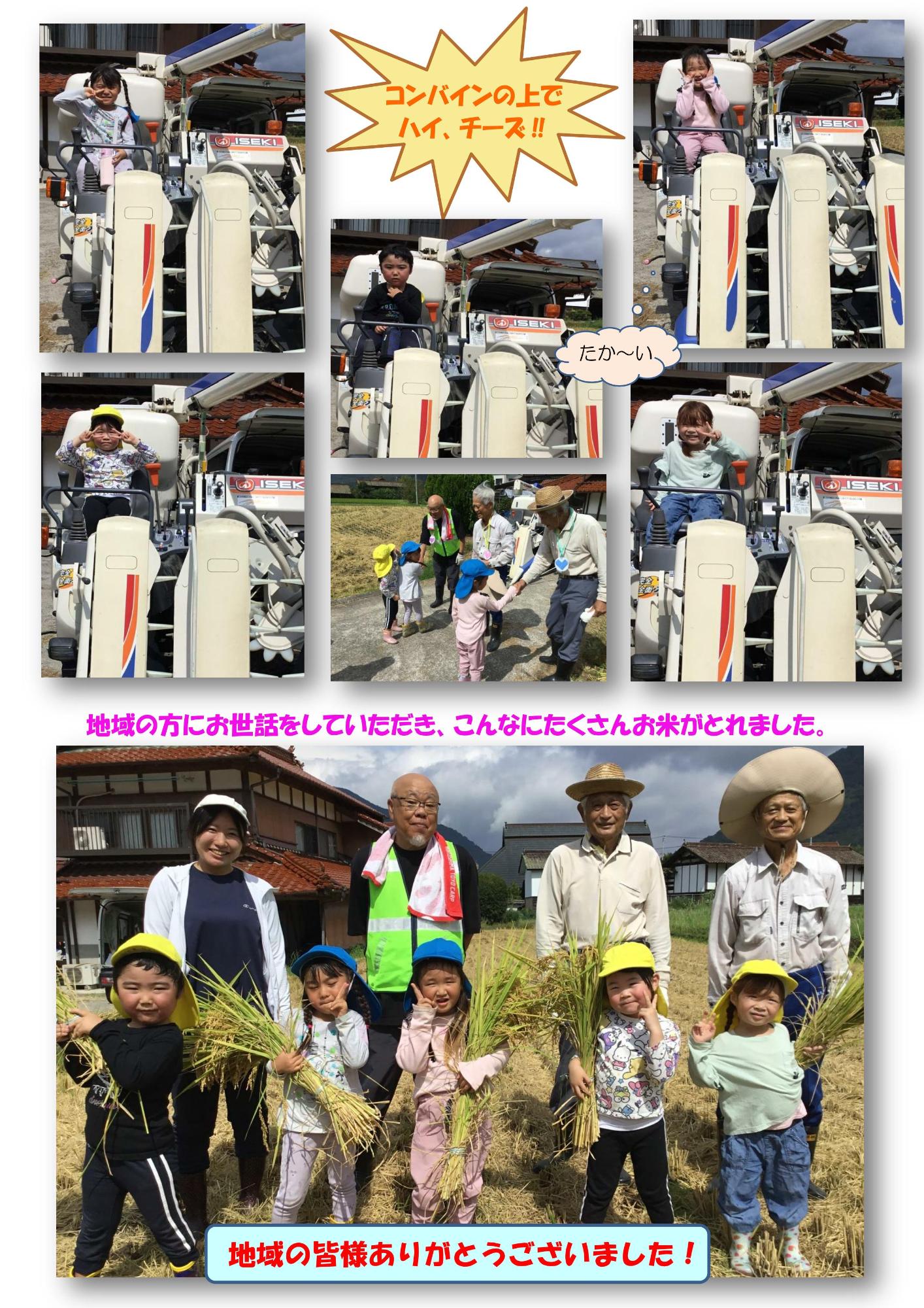 稲刈り2