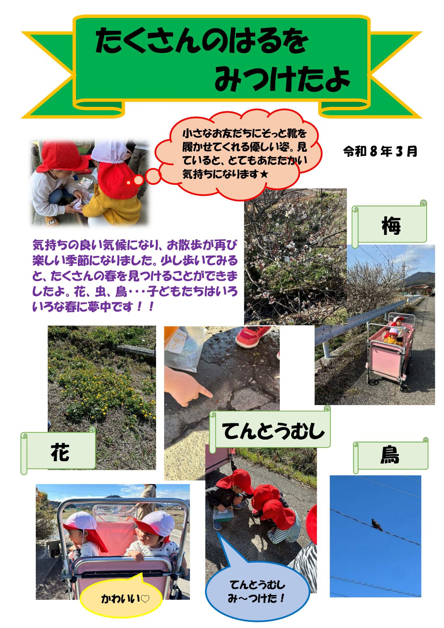 たくさんのはるみつけたよ