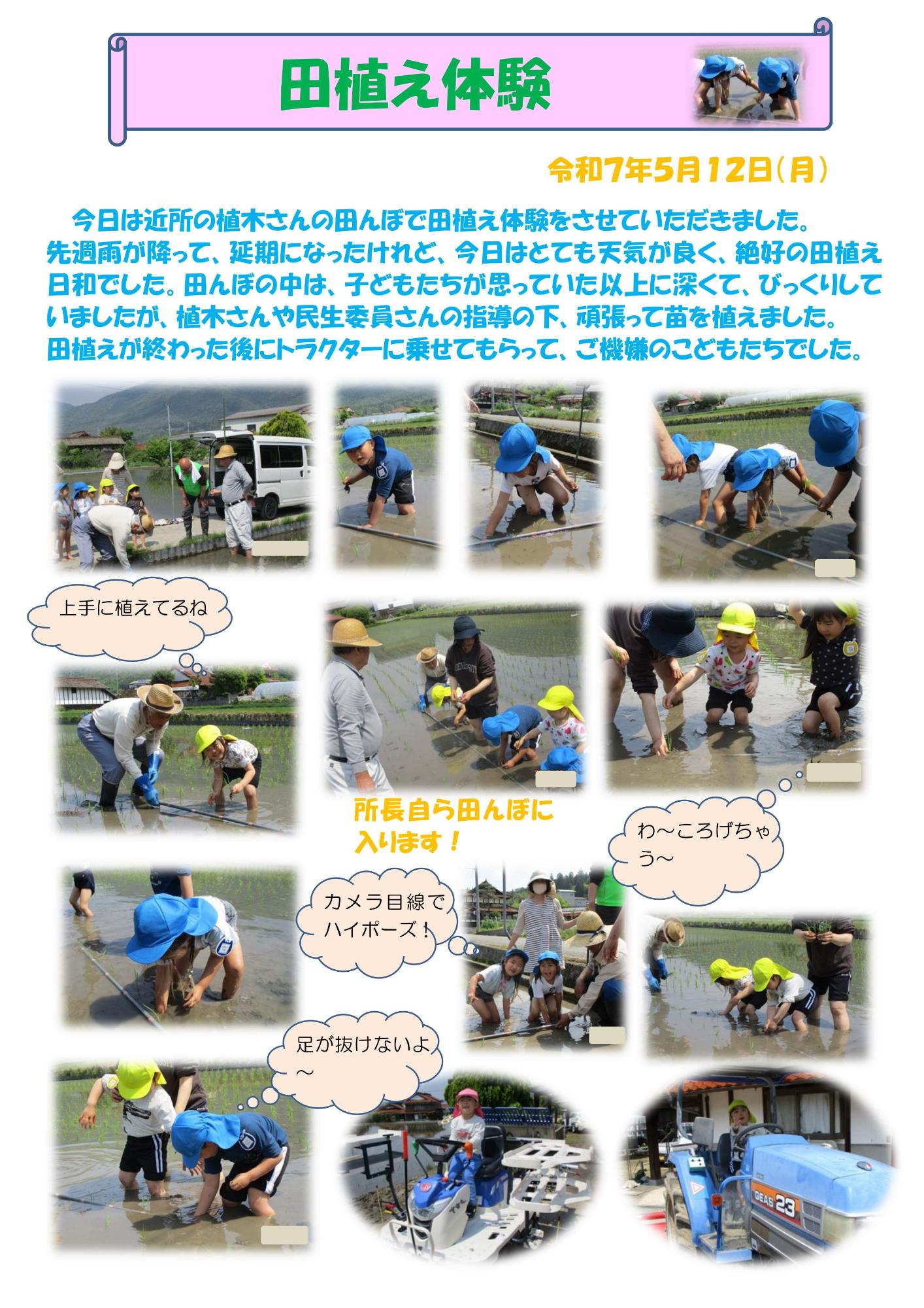 田んぼ1