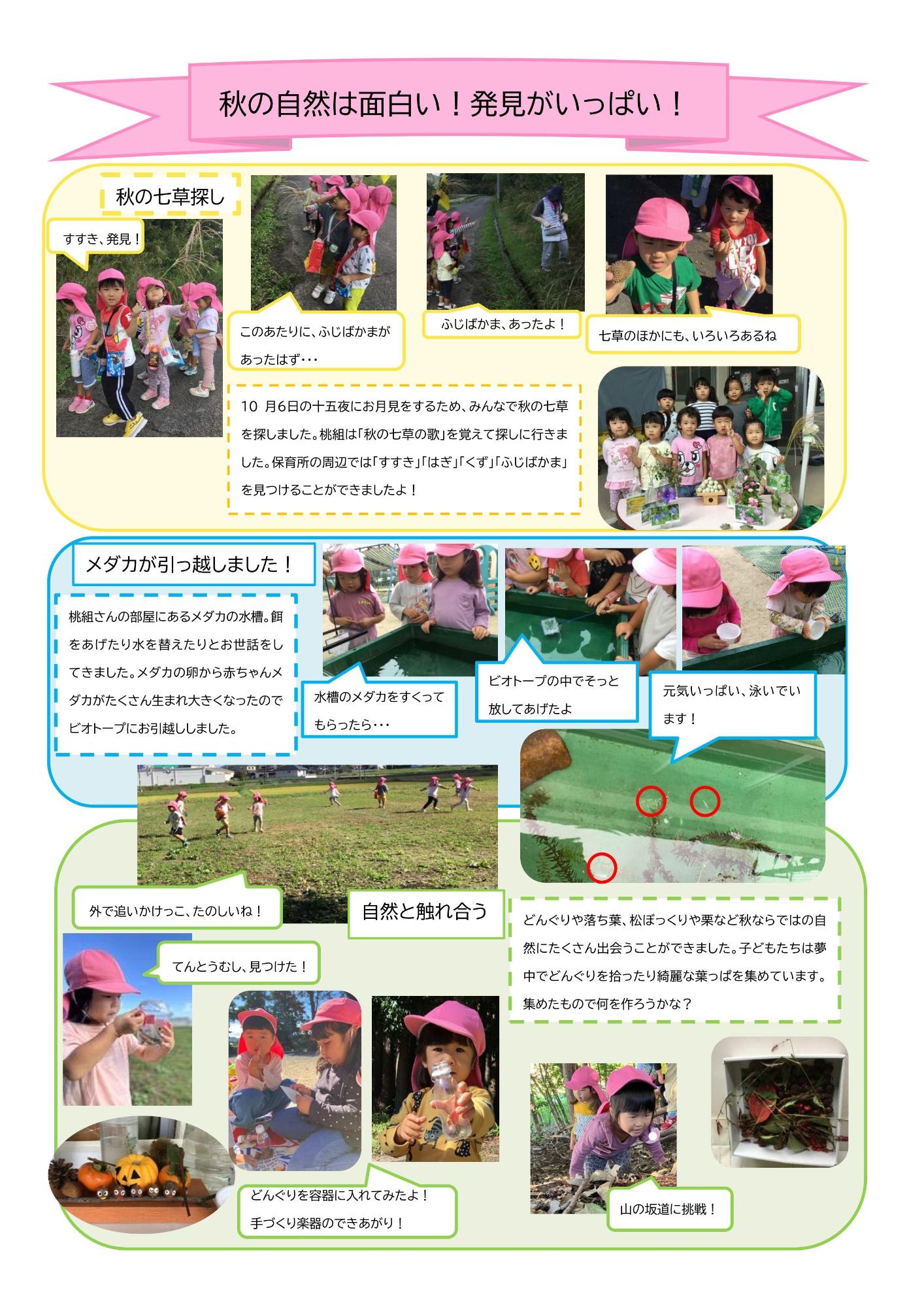 ドキュメンテーション10月桃組