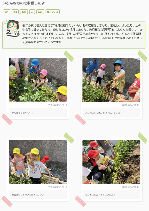全体の様子6月1